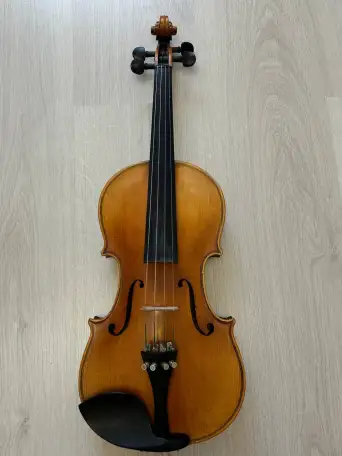Скрипка мастерова 44, фотография 1