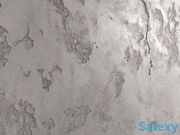 Обои леонардо, фотография 1