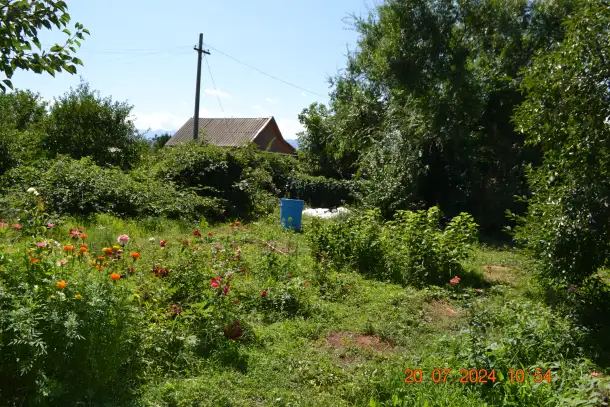 Продается дача 23 сотки, в поселке Акши, Енбекшиказахский район 66 км, фотография 7