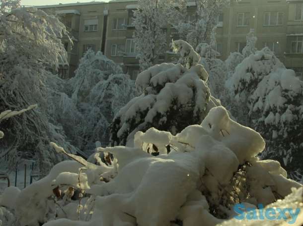 Видео-Фото, фотография 9