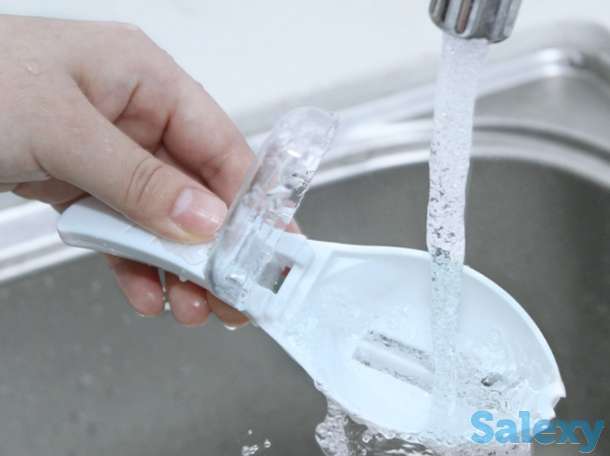 Рыба очиститель, фотография 2