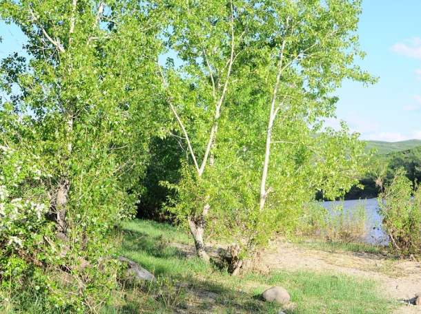 Продам дачу, участок 6 соток, баня, парковка, беседка с мангалом, спут TV, полив круглосуточно, фотография 2