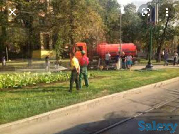 Требуются рабочие по уходу за зелеными насаждениями, фотография 1