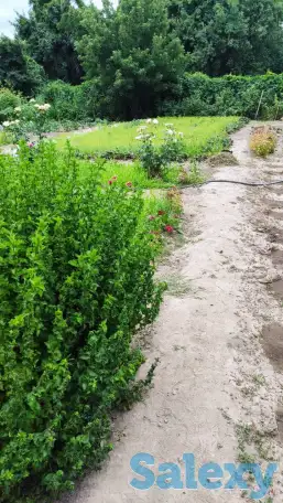 Дача 15 соток, Алматинская область, Талгарский район, с.о. Кендалинский, с. Кендала, с/т Медик-, фотография 5