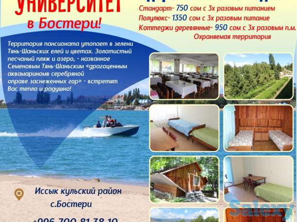 Сдаются уютные 2,3,4-х местные номера и деревянные коттеджи., фотография 1