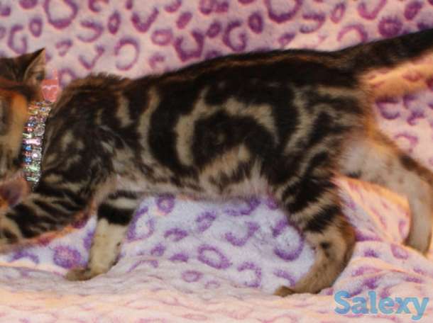 Расписная красота, фотография 2