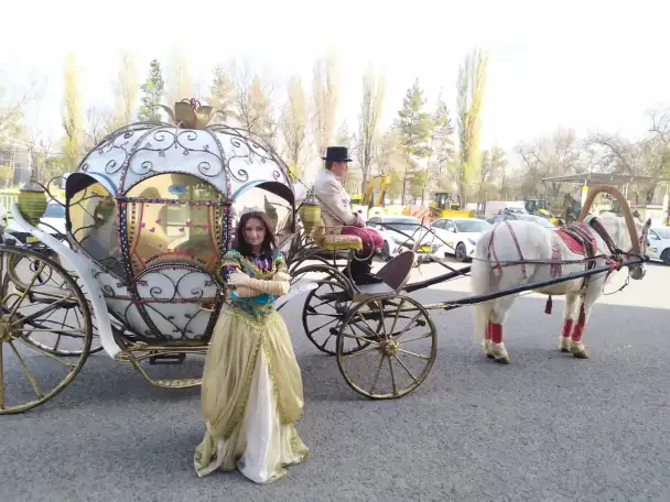 аренда кареты, фотография 13