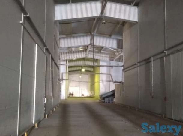 Продажа репчатого лука в больших объемах, урожай 2019 года, сортов «бурса- F1» и «братко F1», фотография 7