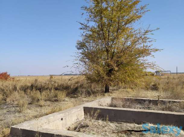 Продам участкти по 12 соток, ПК с/т Темирлан, фотография 3