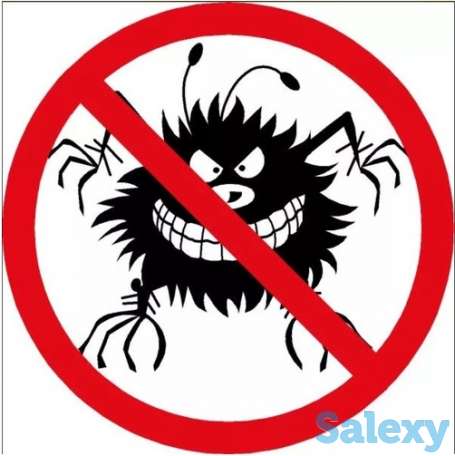 Чистка компьютера от вирусов и установка антивируса, фотография 1