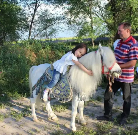 пони на Детский праздник, фотография 15
