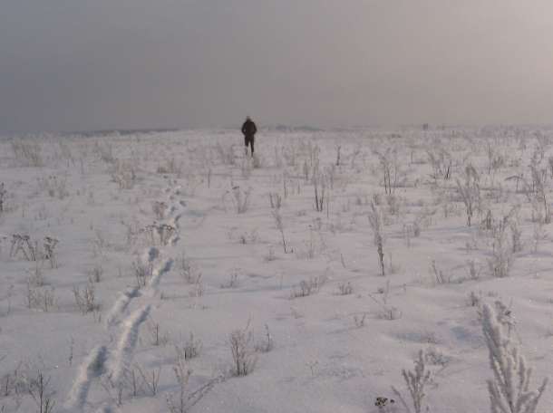 Продам участок 8 соток Кок-Сай (Путь Ильича) в 9км от Алматы, фотография 10