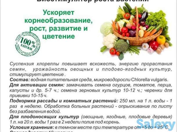 Хлорелла для растений, фотография 1