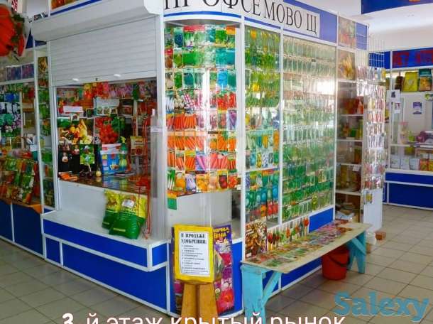 Семена Кокшетау, фотография 4