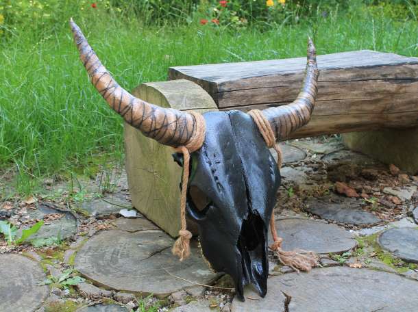 ЧЕРЕП БЫКА , фотография 3