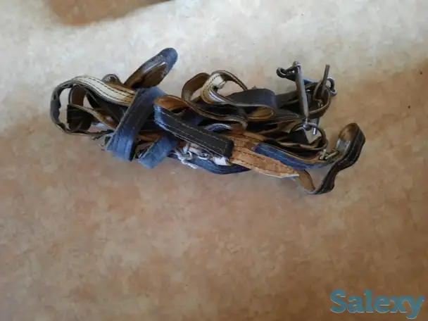 Жүген,ноқта, құлақбау, құйысқан , өмілдірік, фотография 1