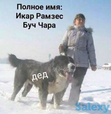 Два класных мальчишек САО, фотография 1