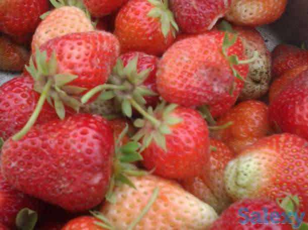 Уютный домик для летнего отдыха, Дачный массив (товарищество) Пламя приозерное;В сторону Каскелена; Дальше Алтын-, фотография 10