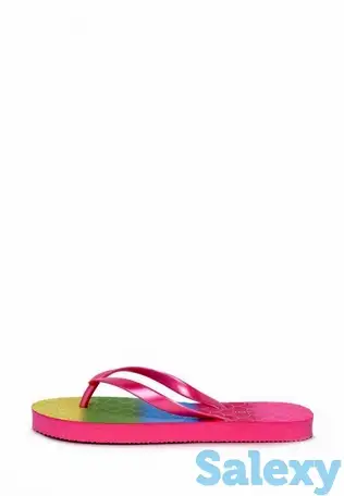 Сланцы t.taccardi, фотография 1