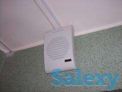 настенная колонка для фона в кафе, спа, ресторан, сауна и тд, фотография 3