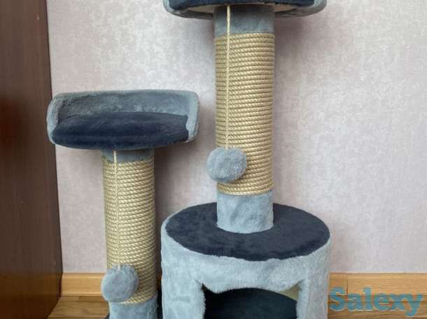Для кошек, фотография 1