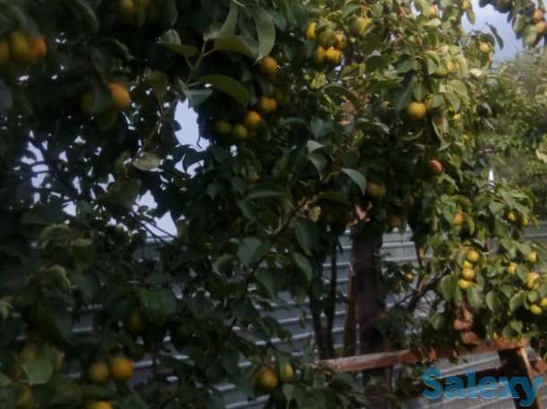 ПРОДАЁТСЯ ДОМ, Алтынсарина, фотография 2