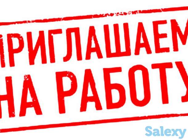 На фирму требуется торговый агент, фотография 1