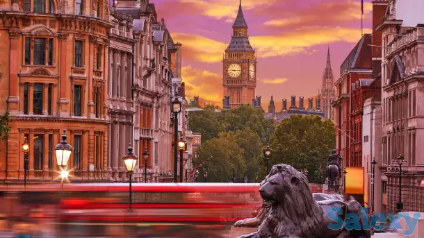 Репетитор английского языка (онлайн), фотография 1