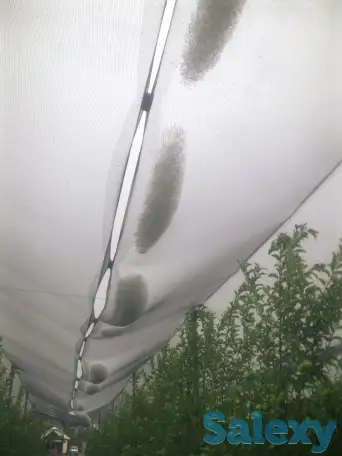 Антиградовая сетка для яблок, винограда и других культур, фотография 4