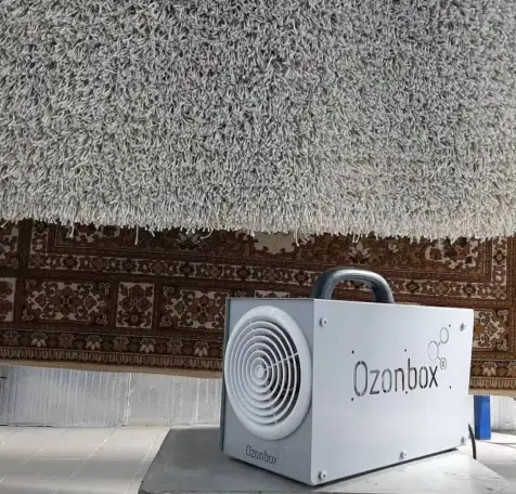 Стирка ковров в Астане на автоматизированной линейке Euromak, фотография 4