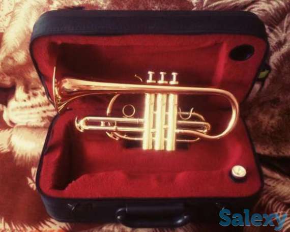 Schiller Germany Cornet, Trumpet, Pocket Trumpet. Корнет, фотография 1