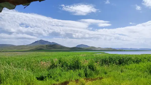 Продается дом у водоема гараж на море, фотография 3