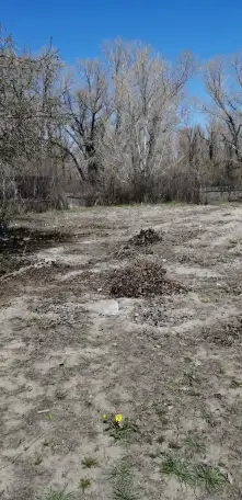 Продам дачу Мура 4, Массив Мұрат 1,2, фотография 6