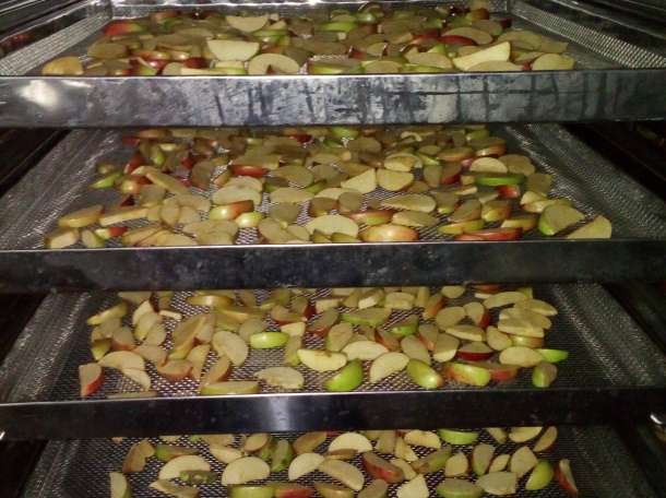 Сушильный шкаф камера С-3Км (на 220в) для мяса, овощей и пр., фотография 6