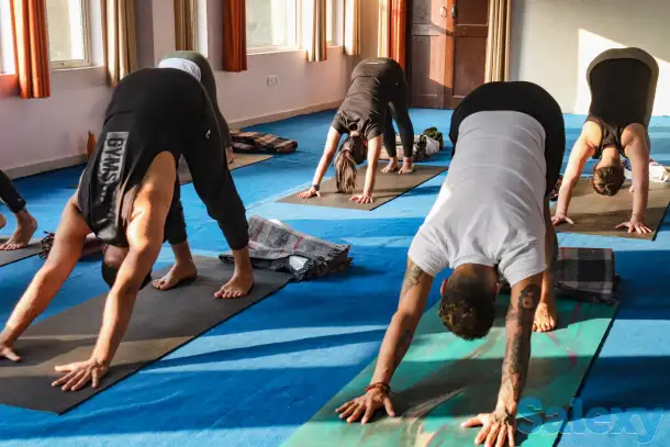 Йога-видео занятия на сайте YogaClub!, фотография 2