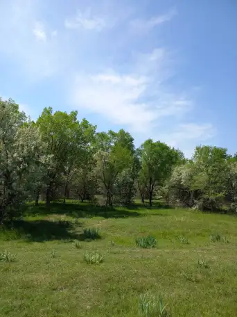 ПРОДАМ ЗЕМЛЮ! СРОЧНО! ТОРГ УМЕСТЕН., фотография 4