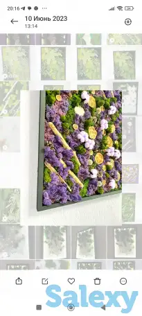 Картины из стабилизированного мха, фотография 3