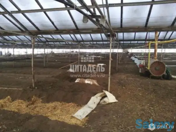 Теплица под ключ, фотография 2