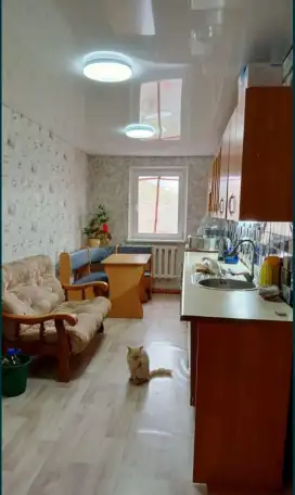 Продам шпальный дом с магазином, фотография 10