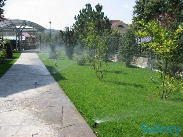 укладка газона, фотография 1