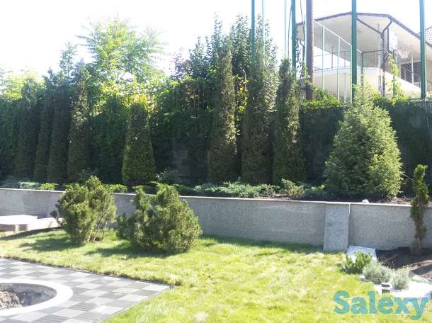 Профессиональный ландшафтный дизайн в Алматы!, фотография 6