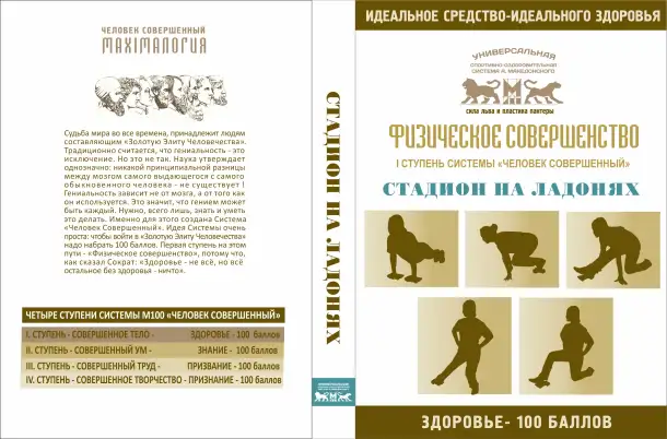 Универсальный спортивно-оздоровительный тренажёр Стадион на ладони, фотография 2
