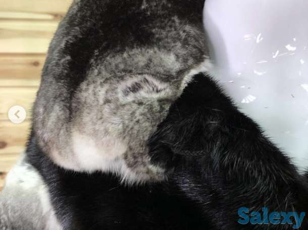 Норковый полушубок с шиншиллой, фотография 3