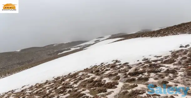 Классический тур по Узбекистану и путешествия / Uzbekistan Classical Tour & Travel, фотография 8