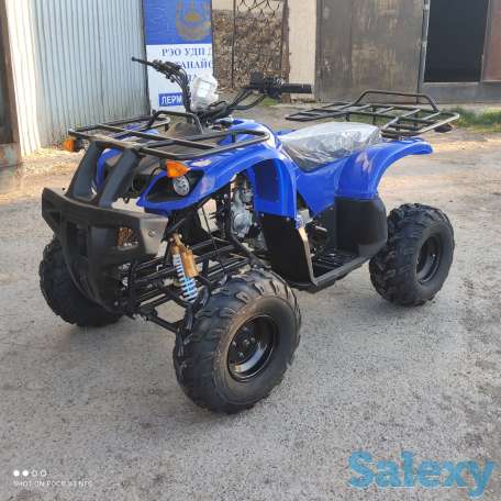 Квадроциклы 50,110,125,250сс, фотография 13