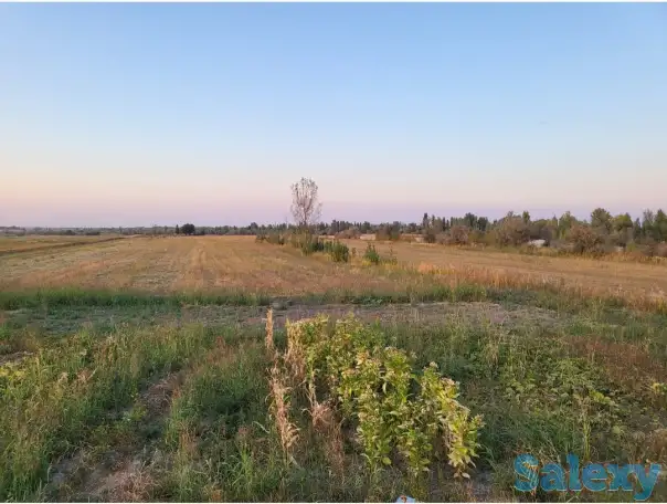 Продам поле 11 га, с. Куш, Алматинская область, фотография 3