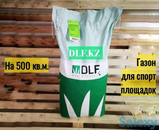 Спортивный газон Dlf Trifolium, фотография 1