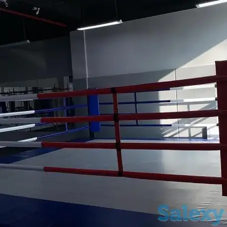 Тренер мма бокс, фотография 9