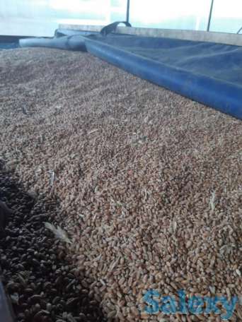 Тент Брезент, фотография 2