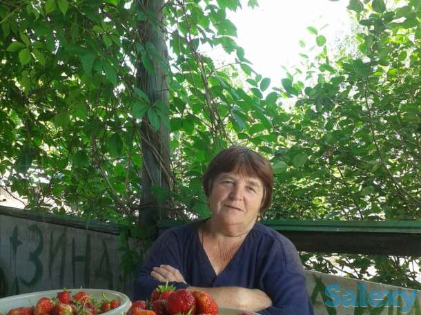 продам дачу, фотография 2